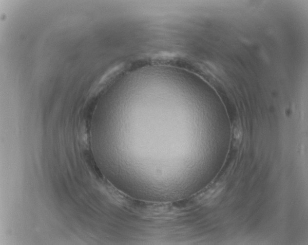 X0000061151252200512091950