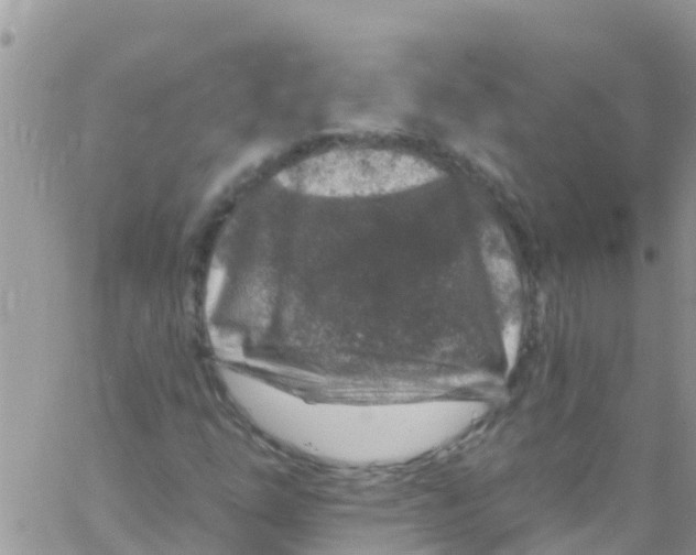 X0000061151254200512091950