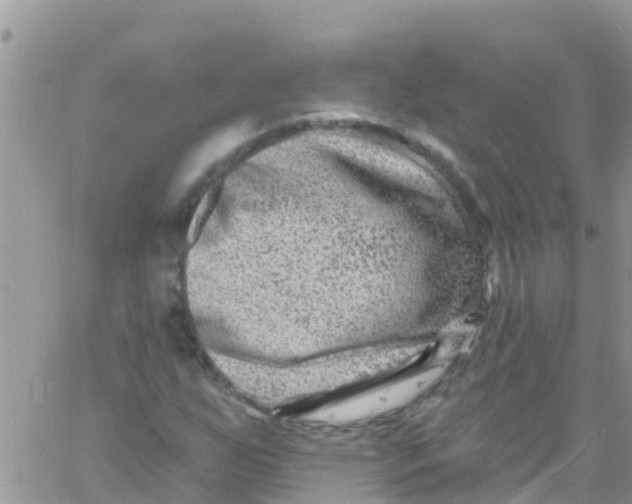 X0000061151255200512091950