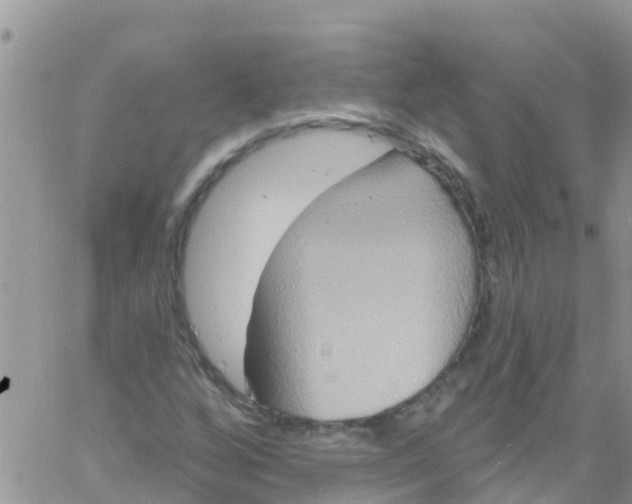 X0000061151256200512091950