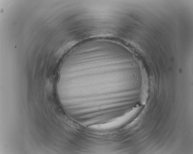 X0000061151257200512091950