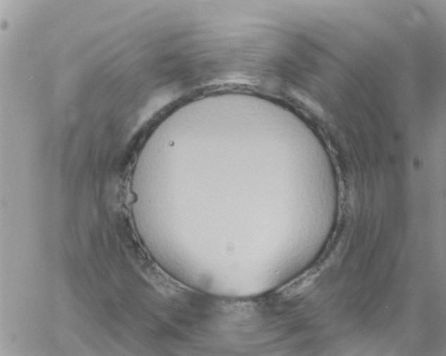 X0000061151258200512091950