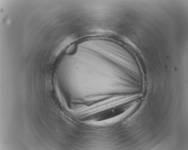 X0000061151259200512091950