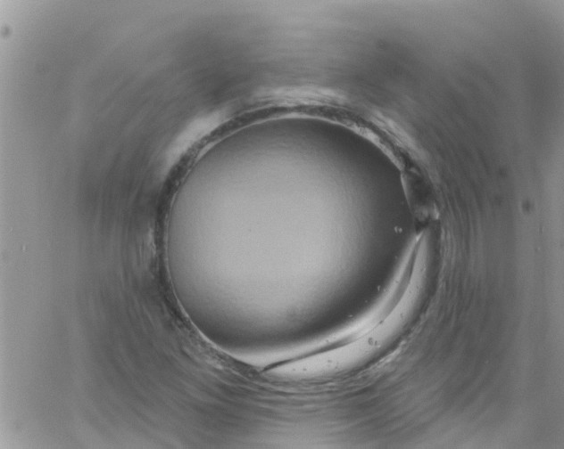 X0000061151261200512091950