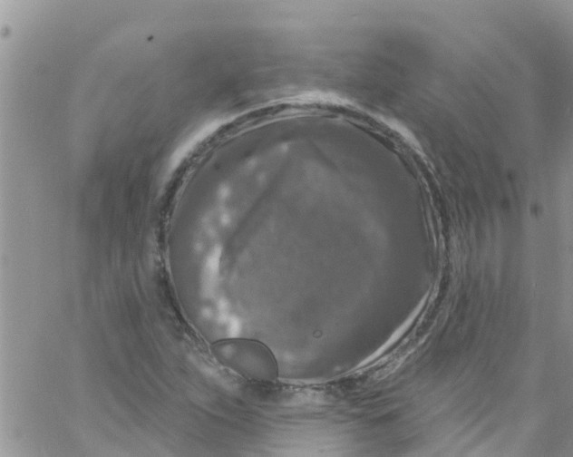 X0000061151263200512091950