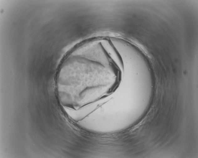 X0000061151264200512091950