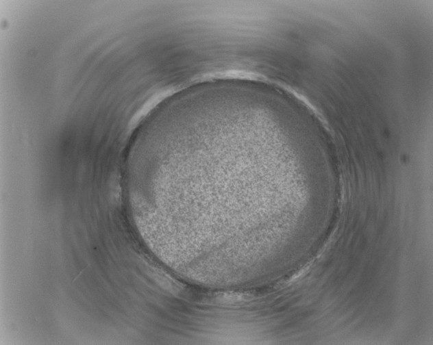 X0000061151266200512091950