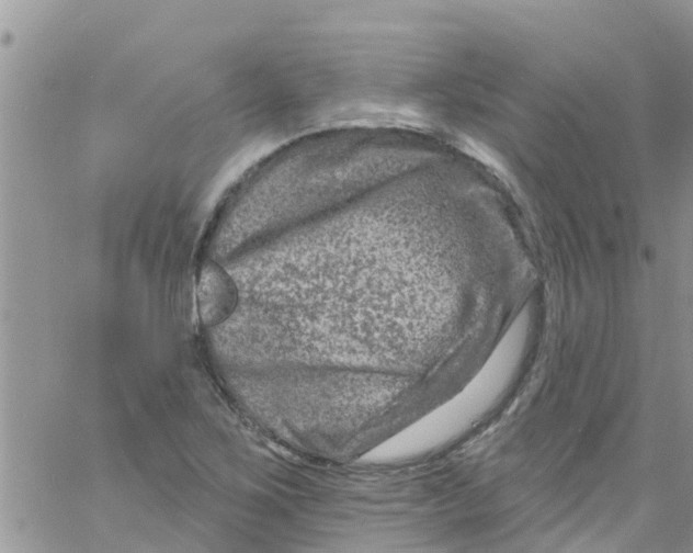 X0000061151267200512091950