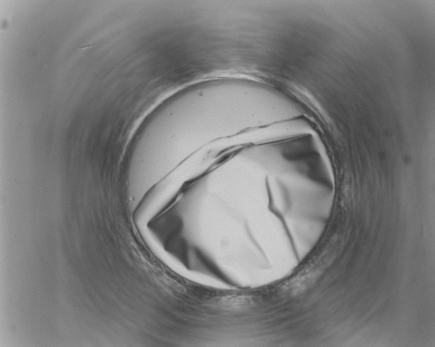 X0000061151268200512091950