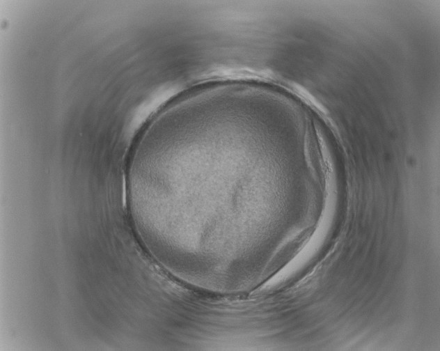 X0000061151269200512091950