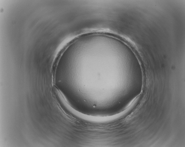 X0000061151271200512091950