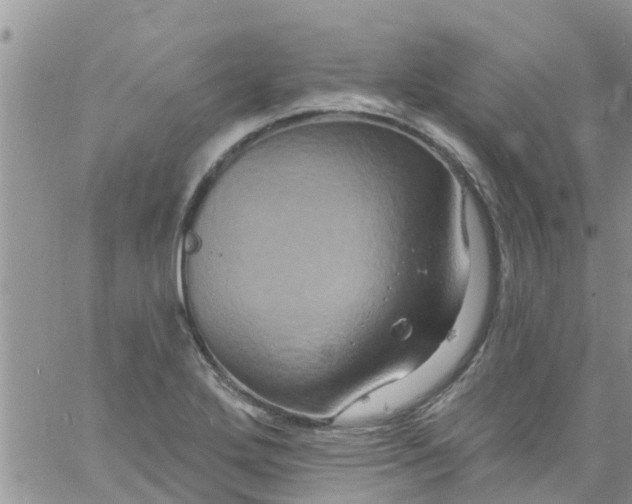 X0000061151272200512091950