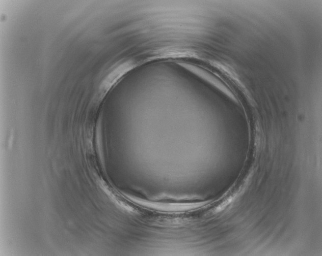 X0000061151273200512091950