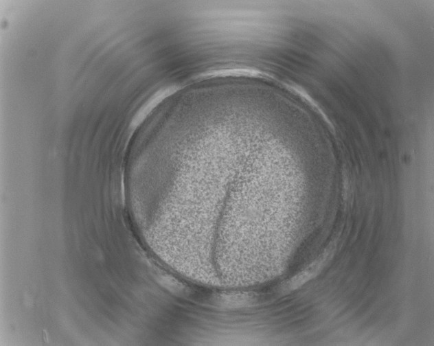 X0000061151274200512091950