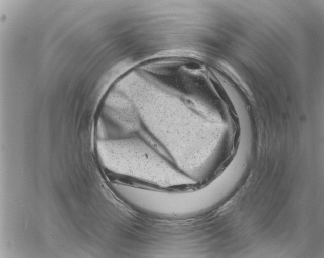 X0000061151276200512091950