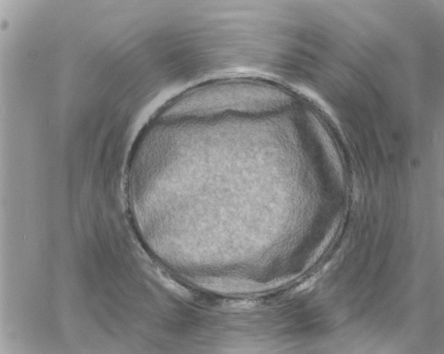 X0000061151278200512091950