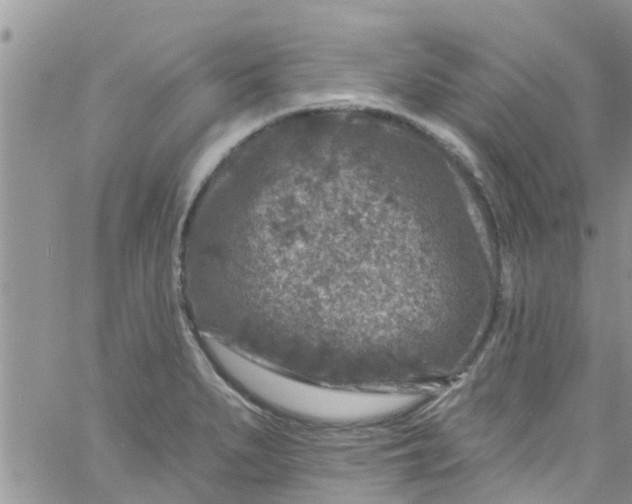 X0000061151279200512091950