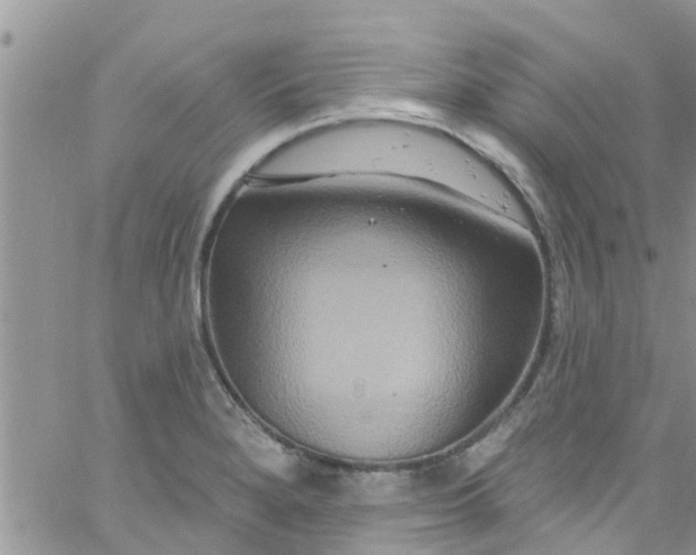 X0000061151280200512091950