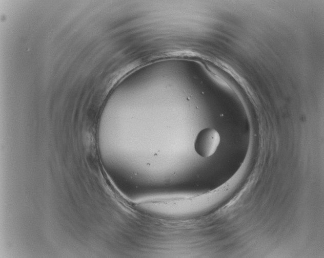 X0000061151281200512091950