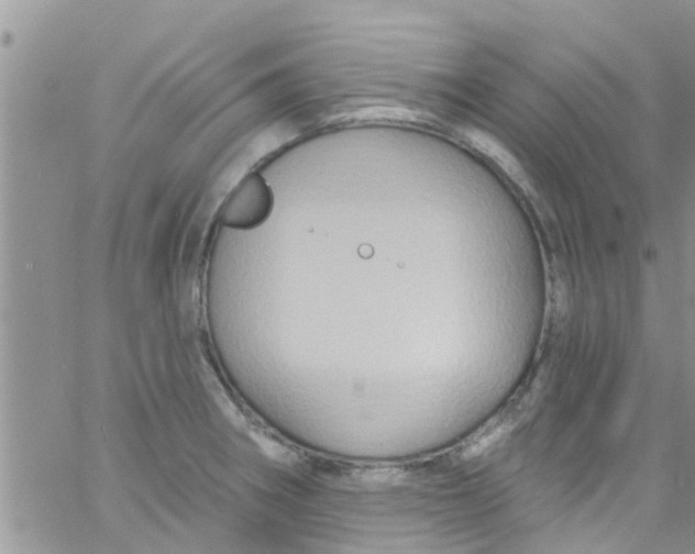 X0000061151282200512091950