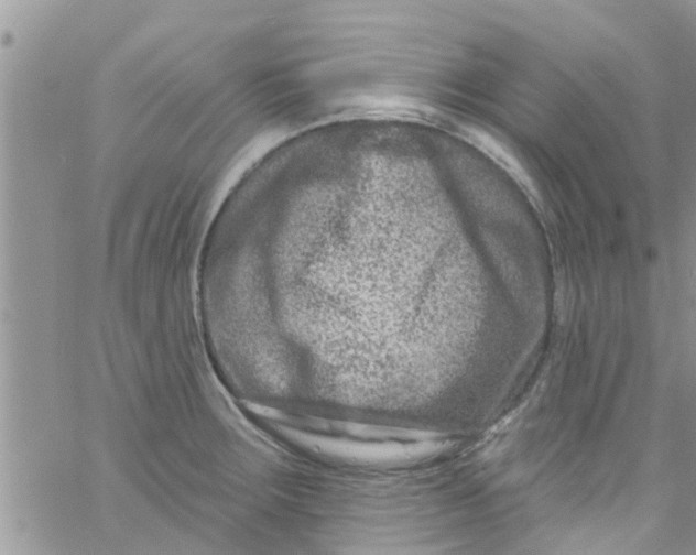 X0000061151283200512091950