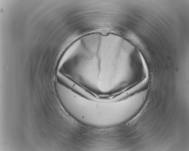 X0000061151284200512091950