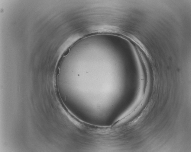 X0000061151285200512091950