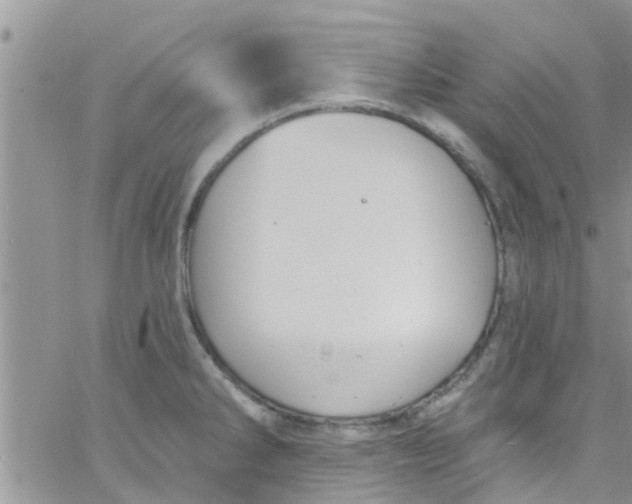 X0000061151286200512091950