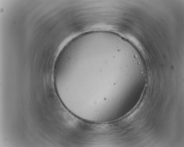 X0000061151288200512091950