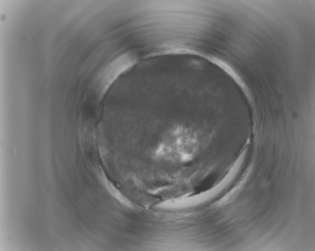 X0000061151289200512091950