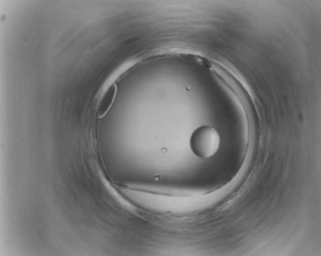 X0000061151293200512091950