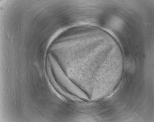 X0000061151294200512091950