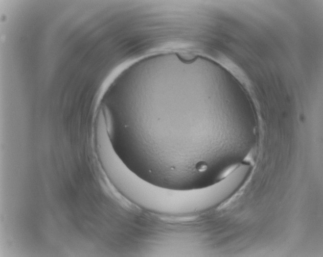 X0000061151296200512091950