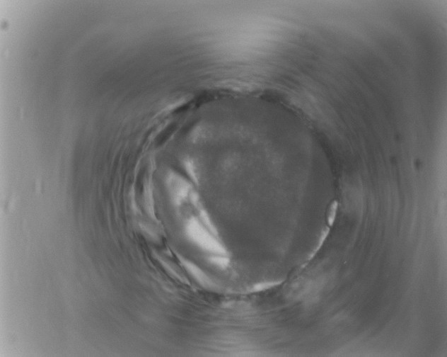 X0000061151297200512091949