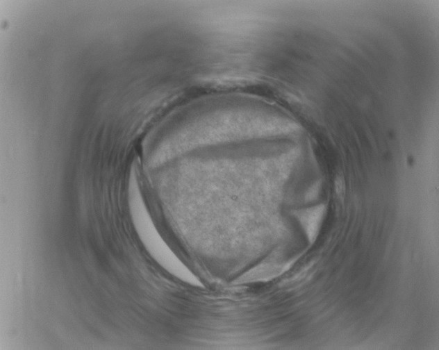 X0000061151300200512091949