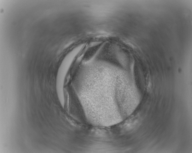 X0000061151301200512091949