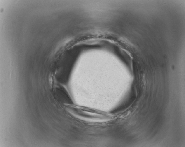 X0000061151302200512091949