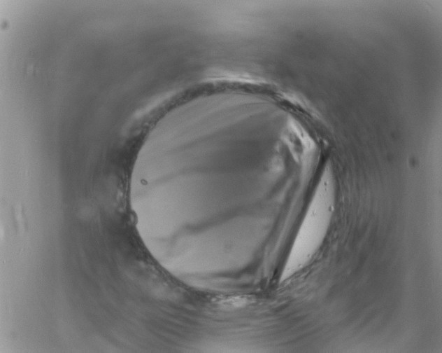 X0000061151303200512091949