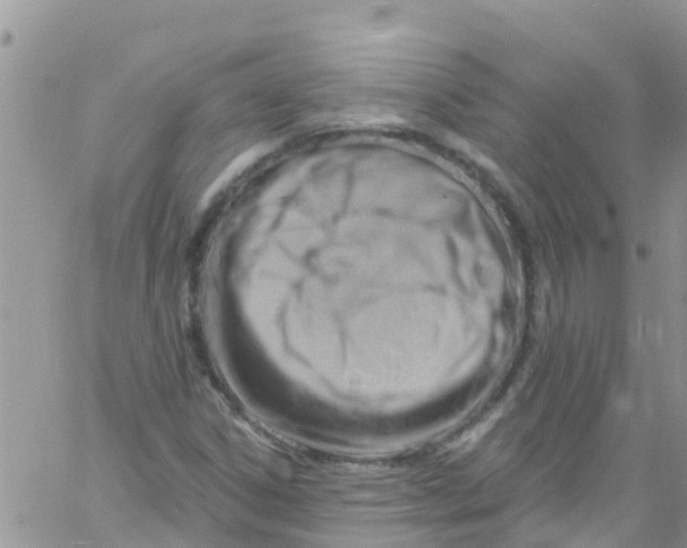 X0000061151306200512091949