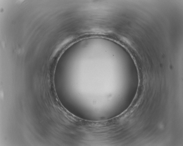 X0000061151307200512091949