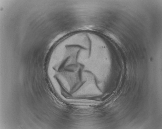 X0000061151308200512091949