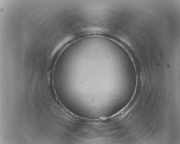 X0000061151309200512091949