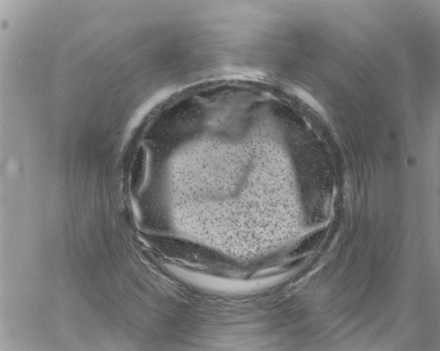 X0000061151310200512091949