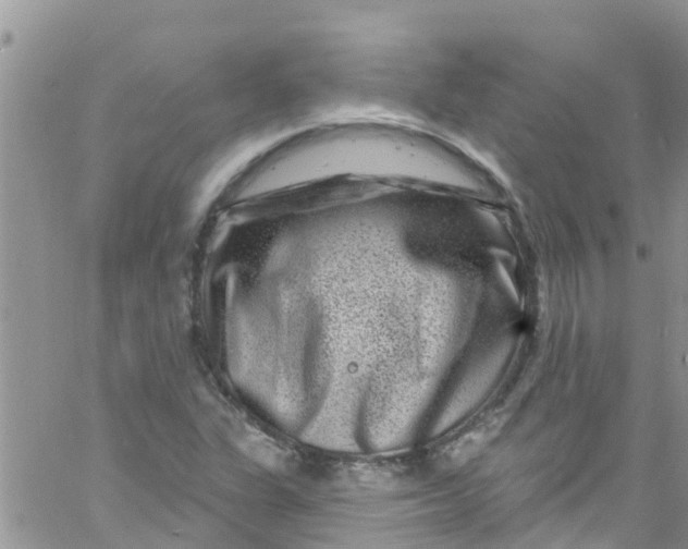 X0000061151311200512091949