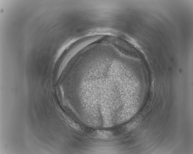 X0000061151312200512091949