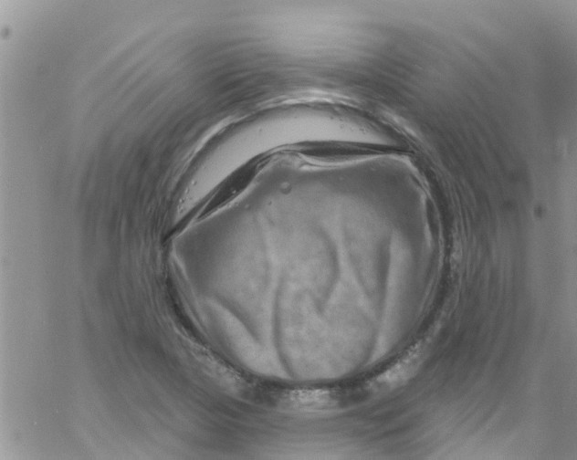 X0000061151313200512091949