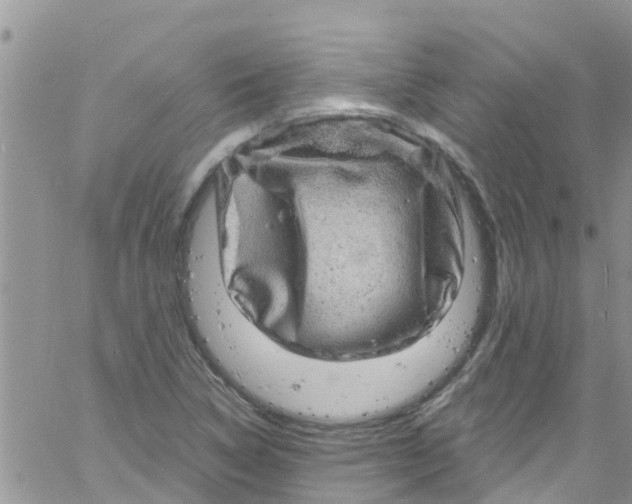 X0000061151314200512091949