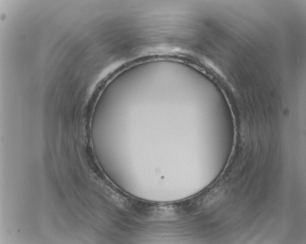 X0000061151315200512091949