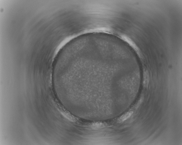 X0000061151316200512091949