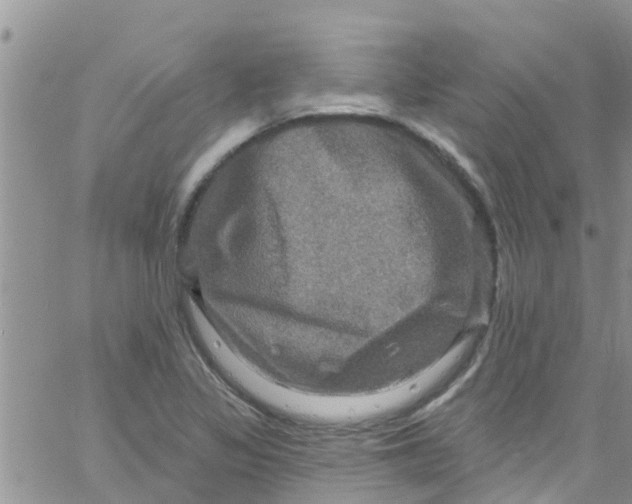 X0000061151317200512091949